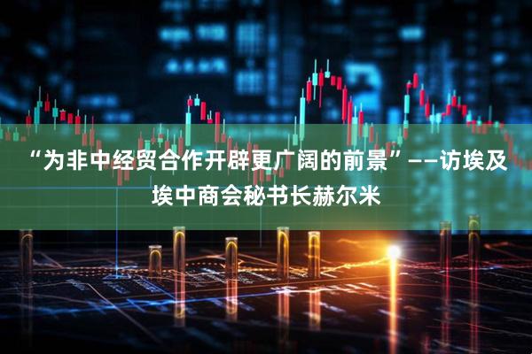 “为非中经贸合作开辟更广阔的前景”——访埃及埃中商会秘书长赫尔米