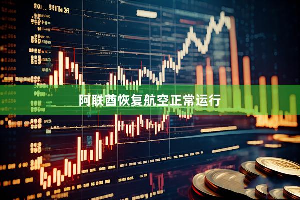 阿联酋恢复航空正常运行