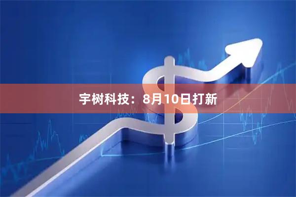 宇树科技：8月10日打新