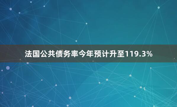 法国公共债务率今年预计升至119.3%